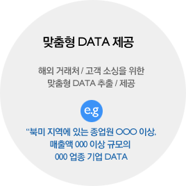맞춤형 DATA 제공, 해외 거래처/고객 소싱을 위한 맞춤형 DATA 추출/제공
